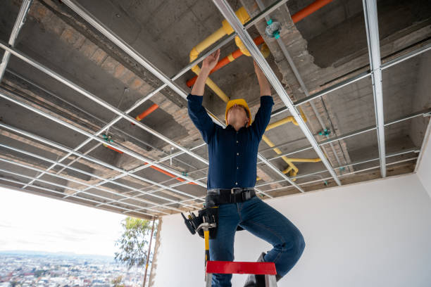 Best Residential Plumbing Services  in Mathews, LA